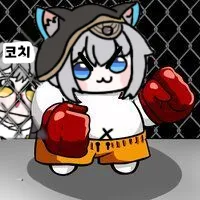 디시콘