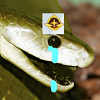 디시콘