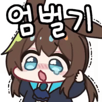 디시콘