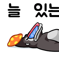 디시콘