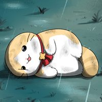 디시콘