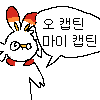 디시콘