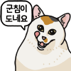 디시콘