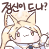 디시콘