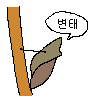 디시콘