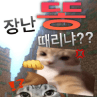 디시콘