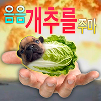 디시콘