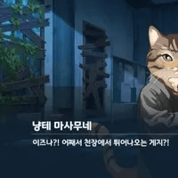 디시콘