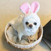 디시콘