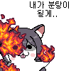 디시콘