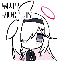 디시콘