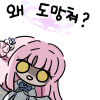 디시콘
