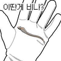 디시콘