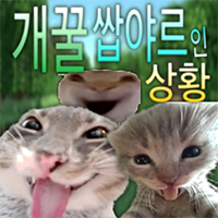 디시콘