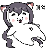 디시콘